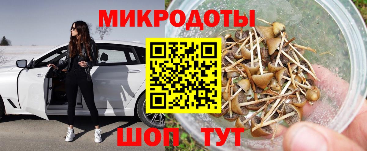 Галлюциногенные грибы мицелий Шебекино
